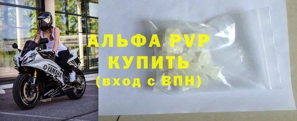 хмурый Богданович